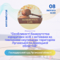 Круглий стіл на тему «Особливості банкрутства юридичних осіб з активами на тимчасово окупованих територіях Луганської та Донецької областей»